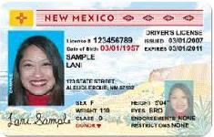 Driver's license example